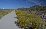 apache wash bike path